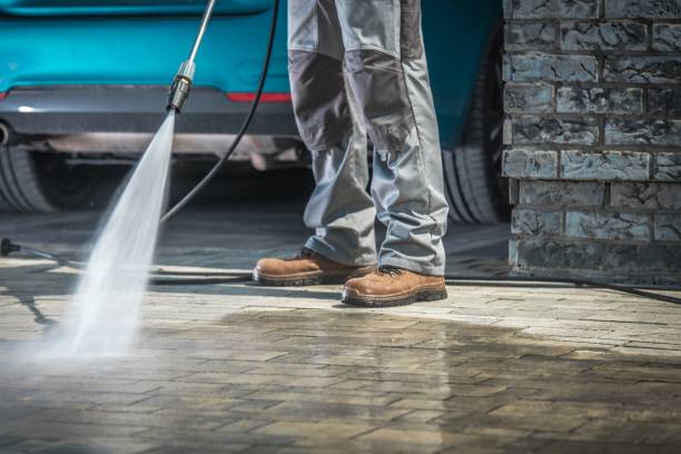 Best Soft Washing for Delicate Surfaces in Hamshire, TX
