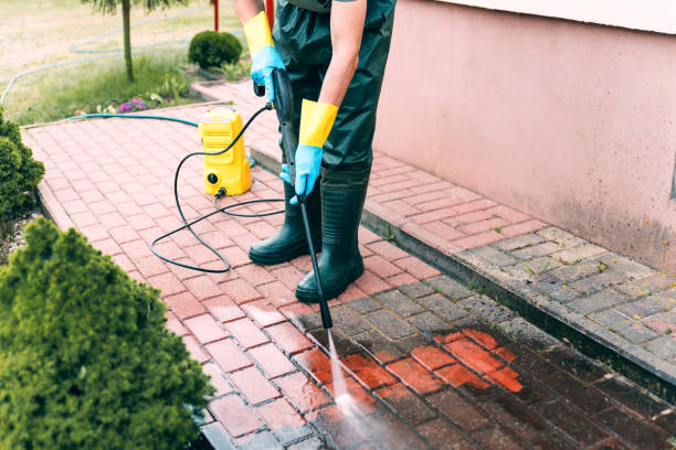 Best Pool Deck Cleaning in Hamshire, TX