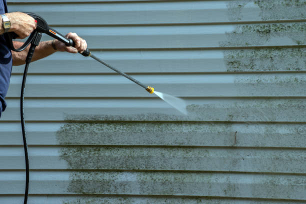 Best Gutter Cleaning and Brightening in Hamshire, TX