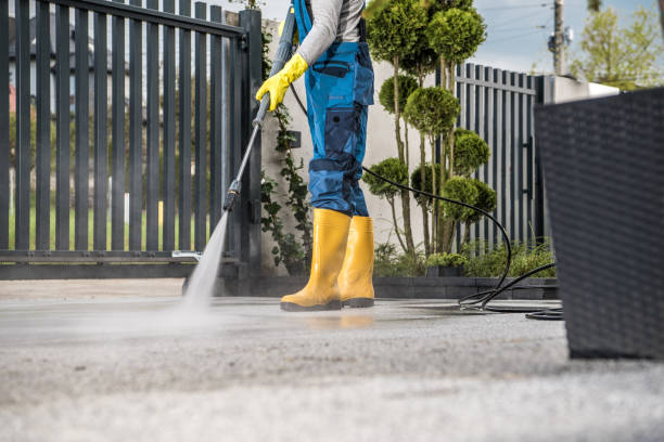 Best Brick and Stone Cleaning in Hamshire, TX
